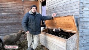 Заработать быстро денег на ягнятах или дождаться овец по осени.