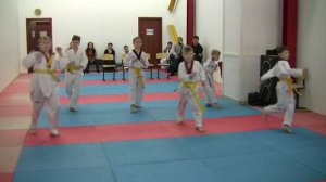 Тхэквондо. Алькор. Аттестация на жёлто-зелёный пояс