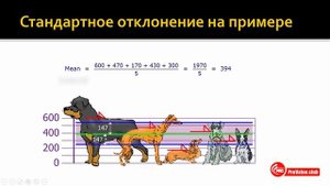 Стандартное отклонение акции для Чайников