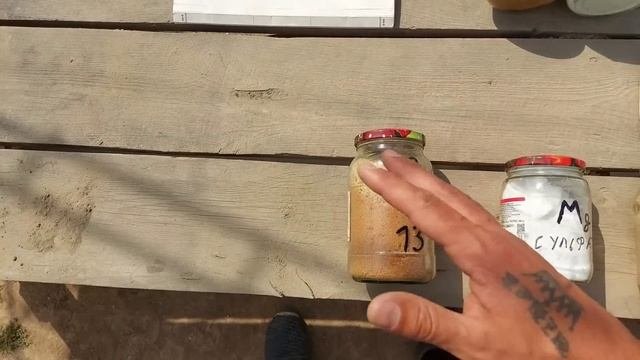 КАК СДЕЛАТЬ ОГРОМНЫЕ ЦВЕТЫ У ПЕТУНИИ, РОЗЫ, ХРИЗАНТЕМЫ И ТД. Про это или не знают или скрывают.