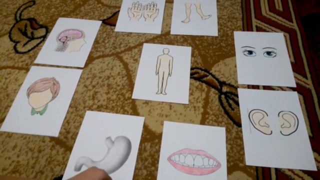 Сказка"Как повздорили части тела" смотреть онлайн