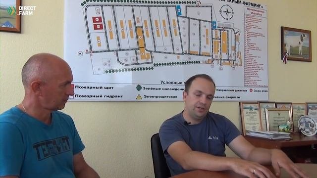 Рацион кормления голштинских коров