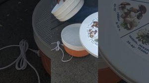 Сушилка для овощей и фруктов Ротор