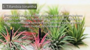 PELUANG BISNIS SAMPINGAN TERBARU