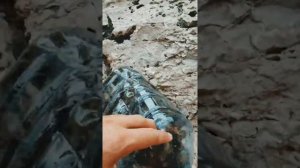 Как я ловил мидии в Крыму