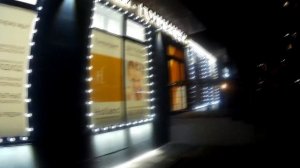 Белт лайт (гирлянда belt light) Простой и недорогой способ украсить любую витрину.