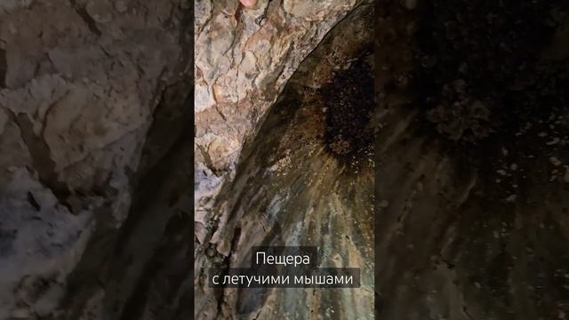 Пещера с летучими мышами в Турции. Хаттуша. #турция #turkey #cave #bat #hattusa #hattuşaş