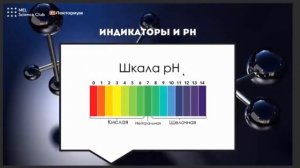В мире кислот! Современные представления о кислотах в природе и дома.