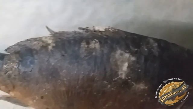 Карп горячего копчения от Kopchenovo.Ru смотреть онлайн