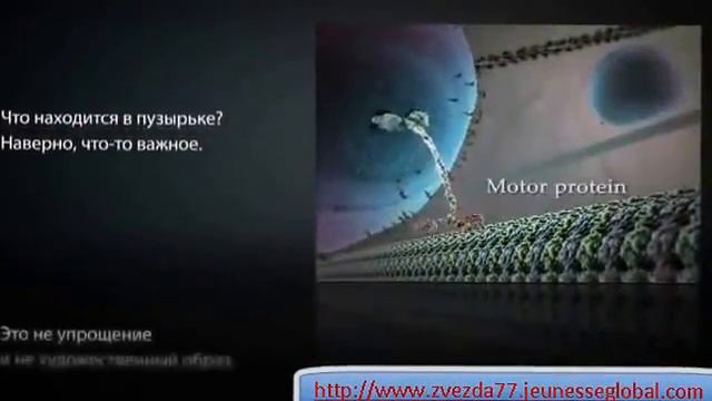 Внутренняя жизнь наших клеток с комментариями смотреть онлайн