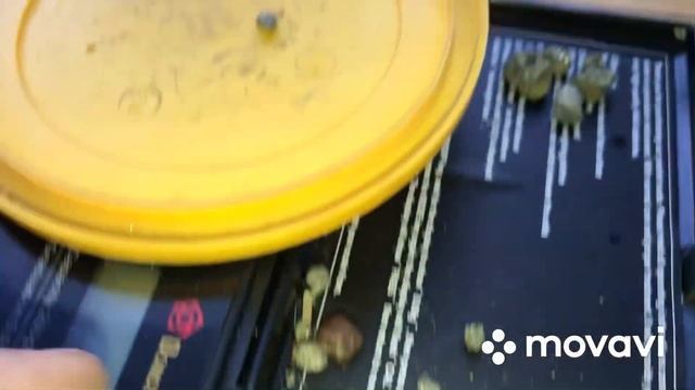 Какой Пирит на Золото ? смотреть онлайн