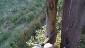 Охота с вышки на медведя и кабана Полезная вещь