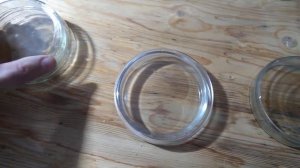 Немного о чашках Петри