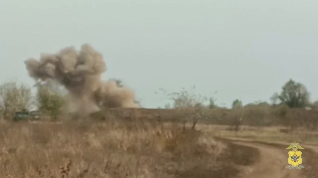 В Херсонской области полицейские обнаружили на окраине села Новопавловка 3 артиллерийских снаряда