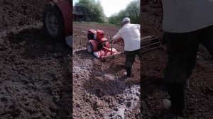 С тяжелым дизельным мотоблоком справится даже 8 летний ребёнок!!! Культивируем огород