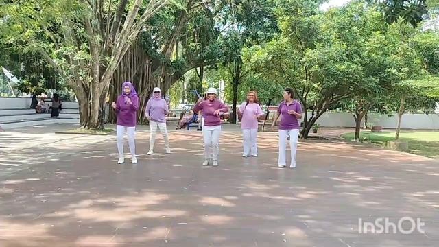 How To Samba/Line Dance/Demo by New Mar Ri Mar LD смотреть онлайн