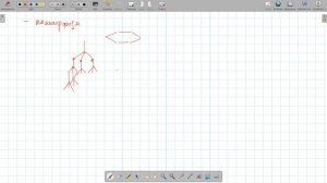 Свойства твердых тел Деформация