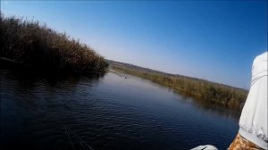 Рыбалка на щуку в полнолуние.