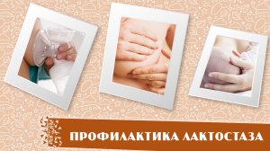 Профилактика лактостаза