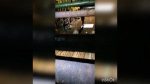 Атлантик орион