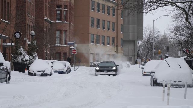 EXTREME SNOW STORM in Toronto Canada MASSIVE Blizzard Snowfall 4K - Downtown Toronto life in Winter смотреть онлайн