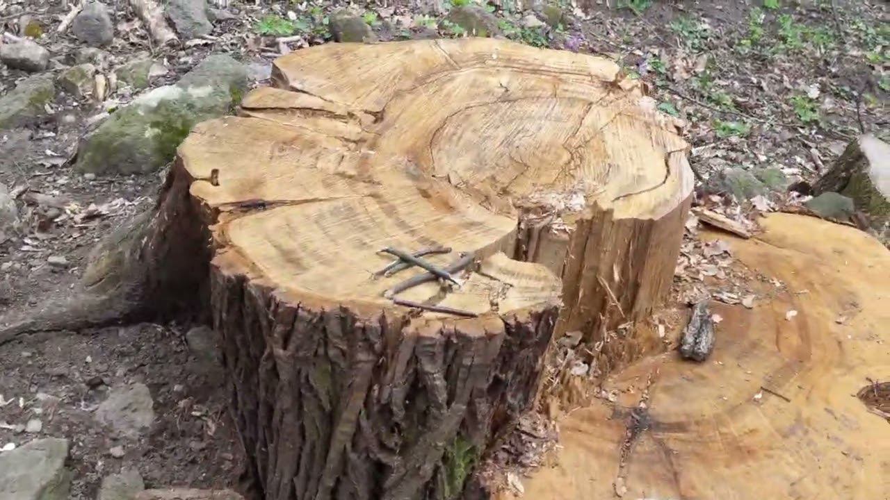 Штурм замка! Вишеград  замок заточения и смерти свирепого графа Влада Цепеша Дракулы.