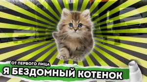 Я БЕЗДОМНЫЙ КОТЕНОК. От первого лица. Серия 1. История одной жизни