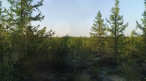 Виталий Игнатов: Звезда Уренгоя (авт. Игорь Корнилов)