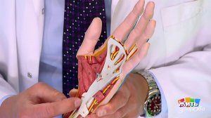 Совет за минуту: немеет рука. Жить здорово! Фрагмент выпуска от 06.08.2018