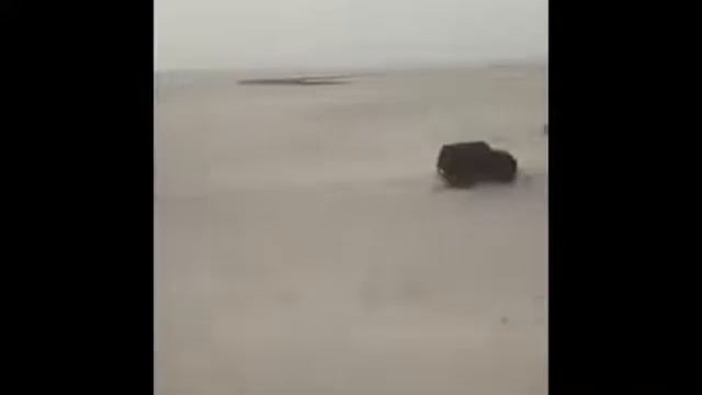 Виде машин с песнями 😍🔥🤤//# Ева Арабова 🌸 смотреть онлайн