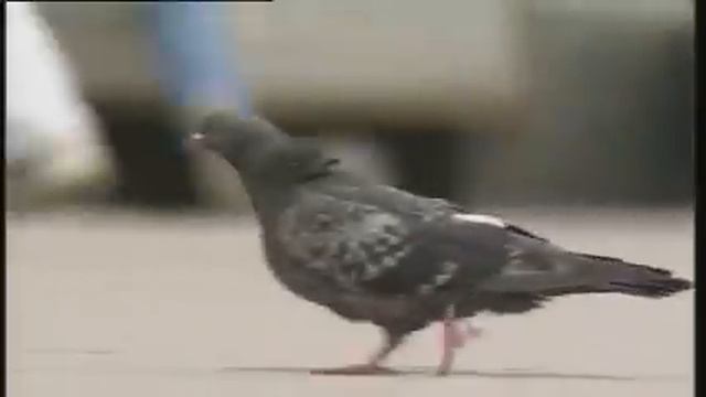 Москва 1995 год смотреть онлайн