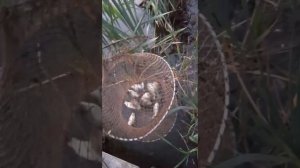 Курск 25.08.22 Стезевка рыбалка