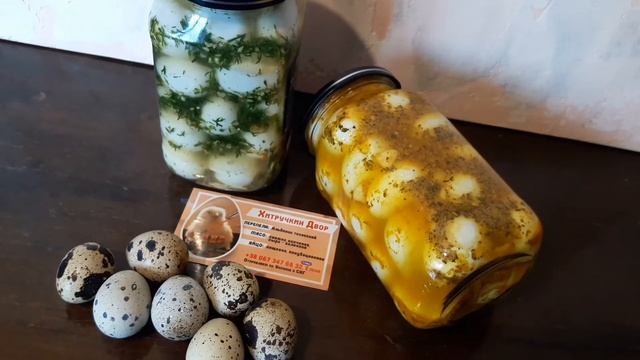 Купить инкуб яйцо перепел Техасский мясной Хитрук Елена Украина//Маринованные перепелинные яйца
