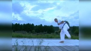 Ката сокуги соно ён