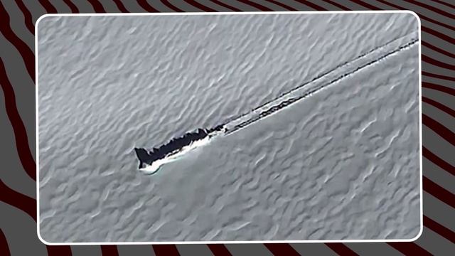 Ученые Раскрыли Секрет Самого Странного Открытия в Антарктиде