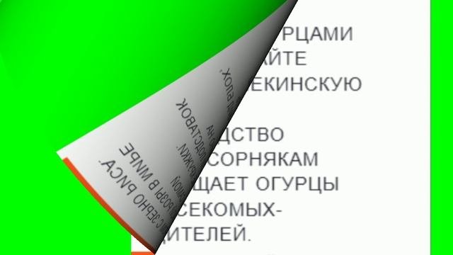 Агород