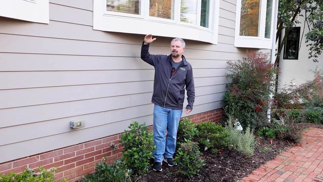 Viburnum tinus 'Spring Bouquet' смотреть онлайн