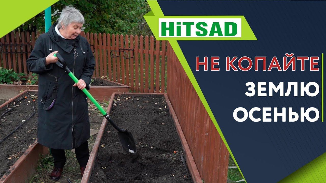 НЕ КОПАЙТЕ Землю Осенью ✔️ Плюсы и Минусы Осенней Перекопки Земли ✔️ Чем Засадить огород Под Зиму