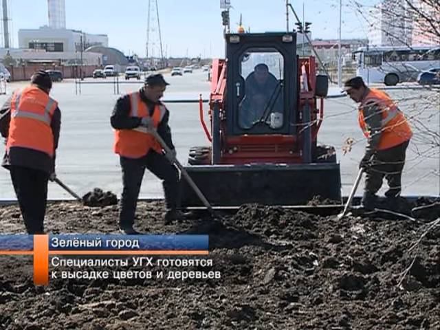 Управление газовым хозяйством. Высадка деревьев. Уренгойское городское хозяйство. Новый Уренгой высадка цветов.