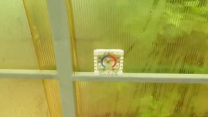 Бассейн в теплице  кресло кровать ковер