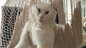 Короткое видео