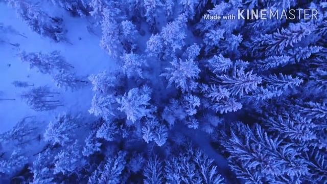 Скажи спасибо перед сном! смотреть онлайн