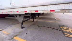 В мире животных. Или как я провожу выходной на работе