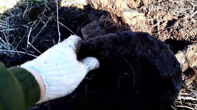 Металлопоиск, не плохие находки.