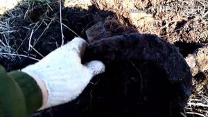 Металлопоиск, не плохие находки.