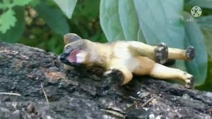 Schleich сериал. "Собачий лес" 1-я серия - "Щенок".