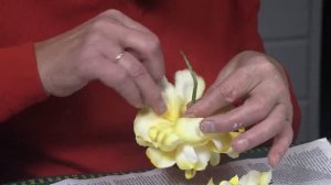 Пион из шёлка урок 3 peony part3