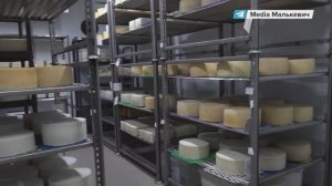 Херсонская область теперь не только родина вкуснейших арбузов, но и крафтовых сыров!
