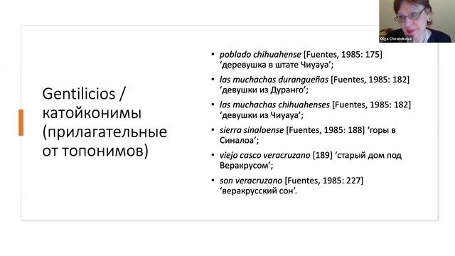 Мексиканское культурное пространство и его отражение в художественном дискурсе (Чеснокова О.С.)