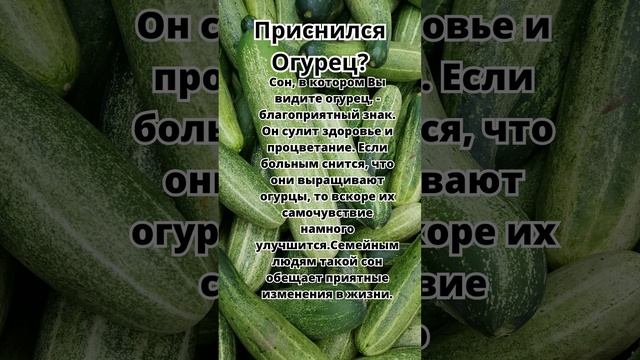 Приснился Огурец?Что это значит!Толкование сна! #толкованиесна #толкованиеснов #сонник